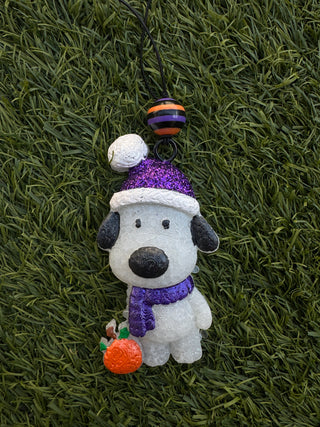 Dog w/ Beanie & Pumpkin