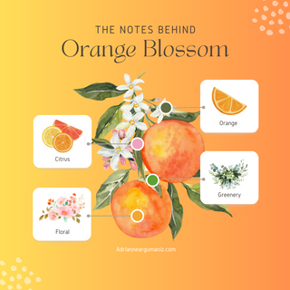 Flamingo Head Freshie